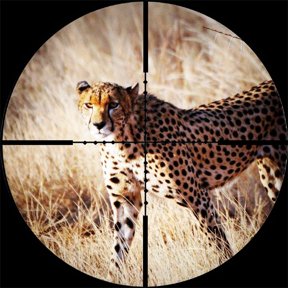 LEAPERS 6-24X50 AOL Hunting Rifle Scopes